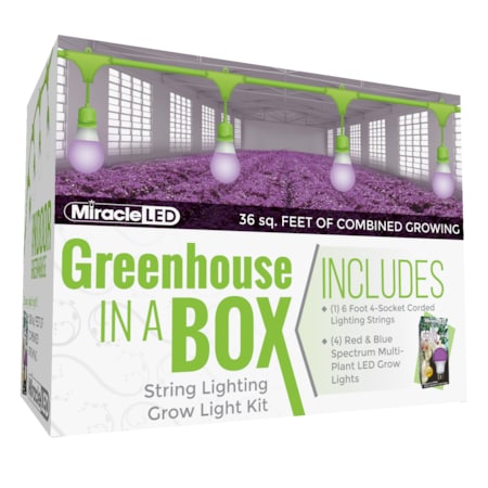 Miracle Led 4-Socket Greenhouse in a Box Grow Light Kit- Red & Blue Spec. 12W Replace 150W Grow Bulbs 802264